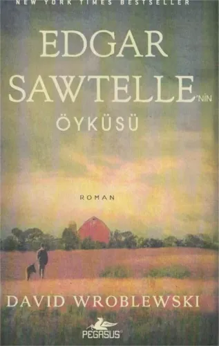 Edgar Sawtelle'nin Öyküsü