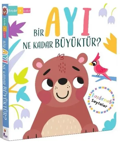 Bir Ayı Ne Kadar Büyüktür?