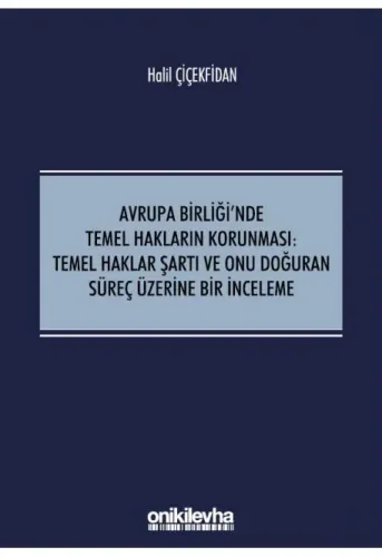 Avrupa Birliği'nde Temel Hakların Korunması: Temel Haklar Şartı ve Onu Doğuran Süreç Üzerine Bir İnceleme