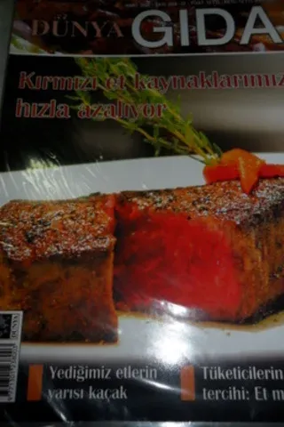 Dünya Gıda 2008 / 03