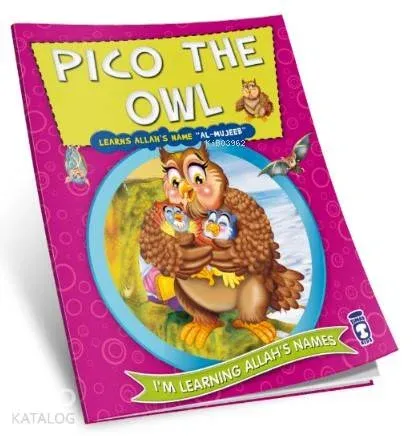 Pico the Owl Learns Allah's Name Al Mujeeb | benlikitap.com