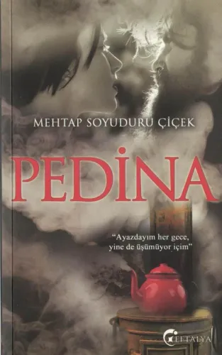 Pedina