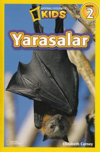 Yarasalar