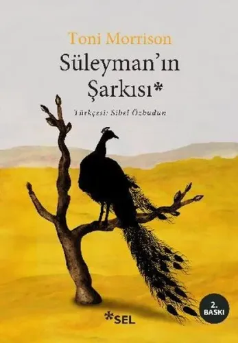 Süleyman'ın Şarkısı