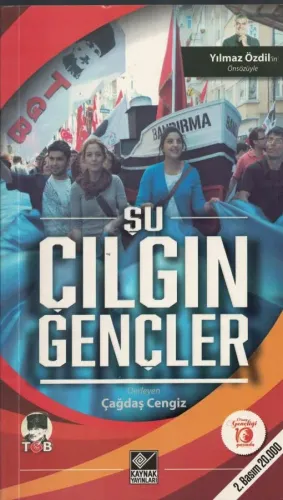 Şu Çılgın Gençler
