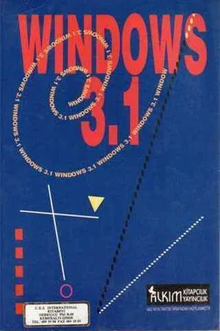 Windows 3.1