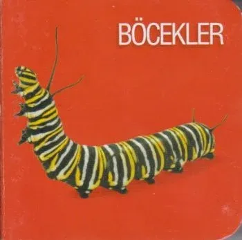 Böcekler Koleksiyon Komisyon