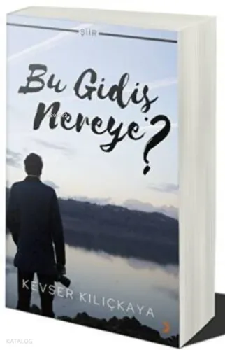 Bu Gidiş Nereye?