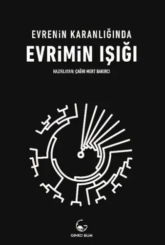 Evrimin Işığı: Evrenin Karanlığında