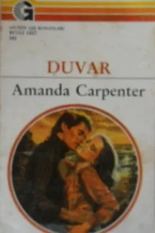Duvar - 193