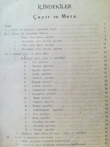 Çayır ve Mera - 1946