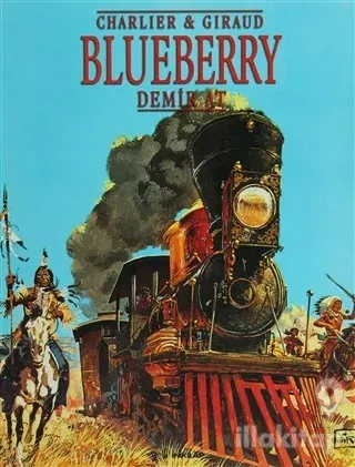 Blueberry Demir At