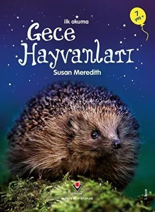 İlk Okuma Gece Hayvanları