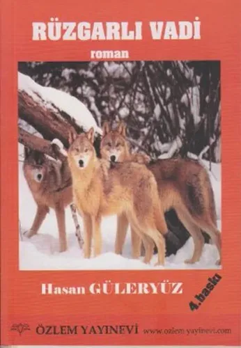 Rüzgarlı  Vadi