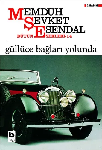 Güllüce Bağları Yolunda