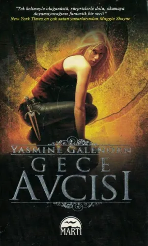 Gece Avcısı