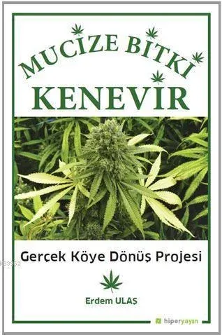 Mucizevi Bitki Kenevir Gerçek Köye Dönüş Projesi