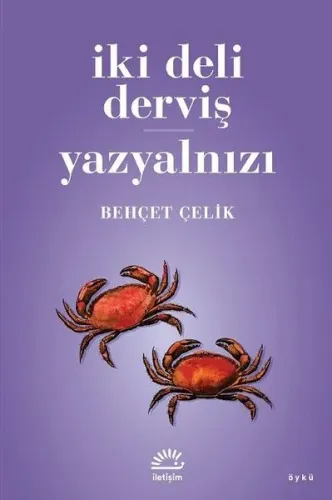 İki Deli Derviş - Yazyalnızı Behçet Çelik