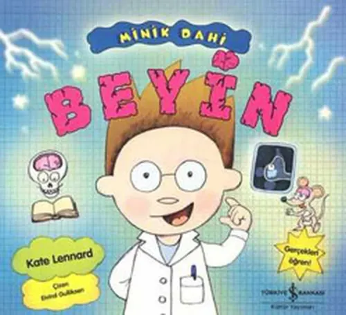 Minik Dahi; Beyin