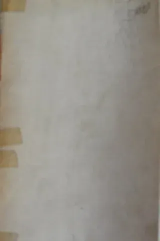Yüz Karası