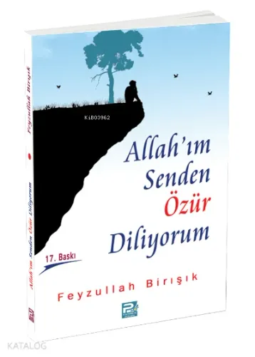 Allah'ım Senden Özür Diliyorum | benlikitap.com