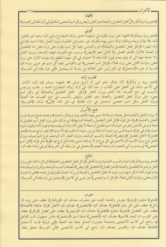 Şuruhul İzhar شروح الإظهار ويحتوي على ستة كتب