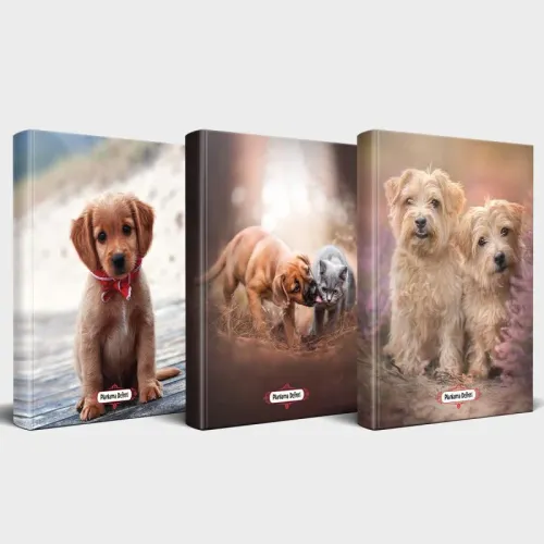 Köpek Temalı Defter Seti 3'lü v2 - Halkkitabevi