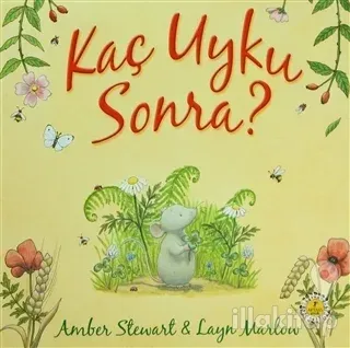Kaç Uyku Sonra