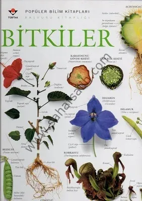Bitkiler - Ciltli Kitap