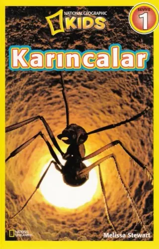 Karıncalar