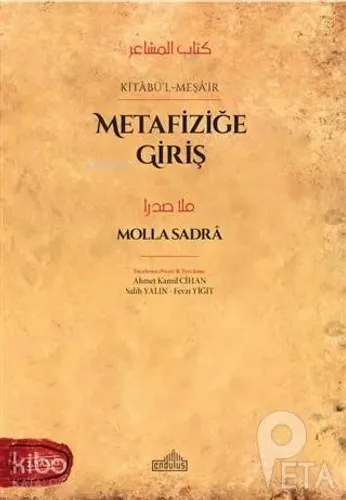 Metafiziğe Giriş
