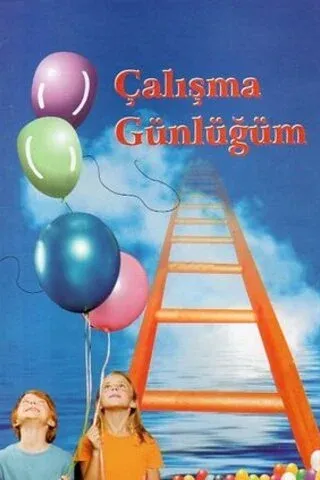 Çalışma Günlüğüm