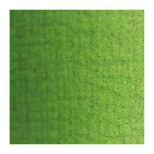 VAN GOGH 40ML YAĞLI BOYA SAP GREEN