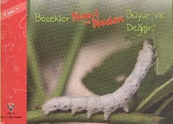 Böcekler Nasıl ve Neden Büyür ve Değişir 6 Yaş