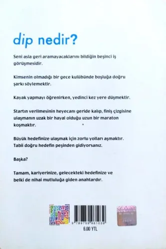 Dip Vazgeçmeyi ve Vazgeçmemeyi Öğreten Küçük Bir Kitap Seth Godin Prof