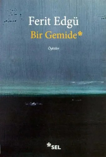Bir Gemide