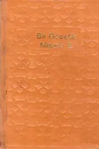 Bir Gecelik Misafir II