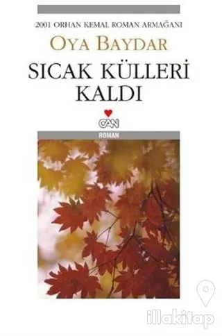 Sıcak Külleri Kaldı (Ciltli)