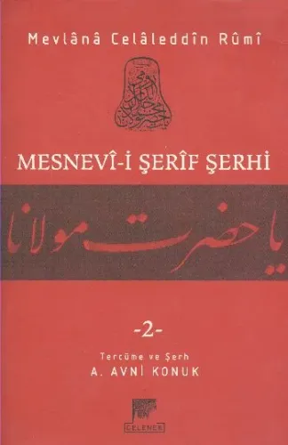 Mesnevi Şerif Şerhi-2