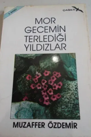 Mor Gecemin Terlediği Yıldızlar