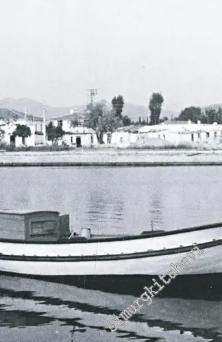Turgutreis 1974 : Evolution of Families and Houses -         2021