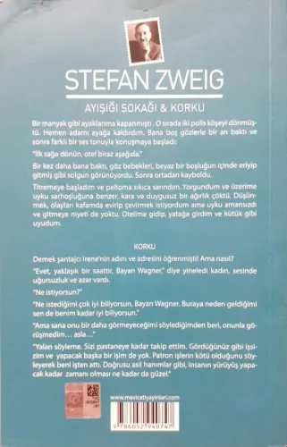 Ayışığı Sokağı & Korku Stefan Zweig Mavi Çatı Yayınları