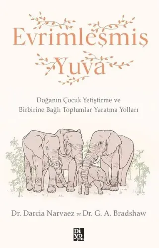 Evrimleşmiş Yuva
