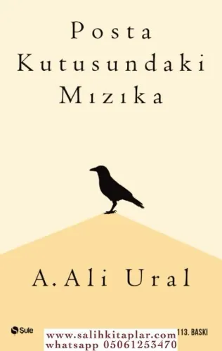 Posta Kutusundaki Mızıka