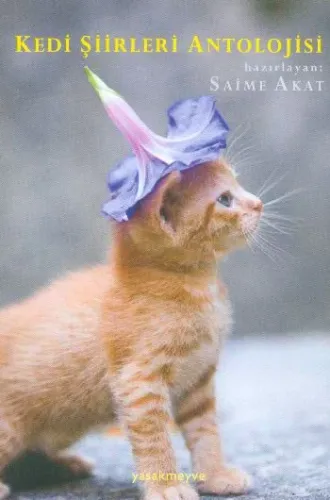 Kedi Şiirleri Antolojisi