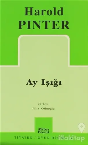 Ay Işığı