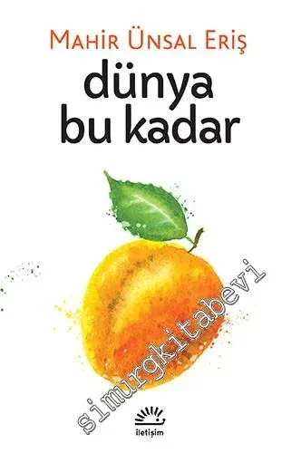 Dünya Bu Kadar -
