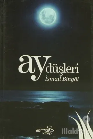 Ay Düşleri