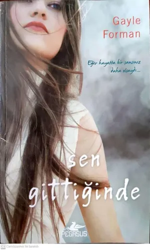 Sen Gittiğinde
