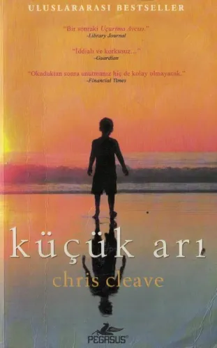 Küçük Arı Chris Cleave Pegasus Yayıncılık